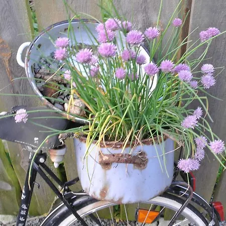 Muellner-hof Schwarzach bei Nabburg