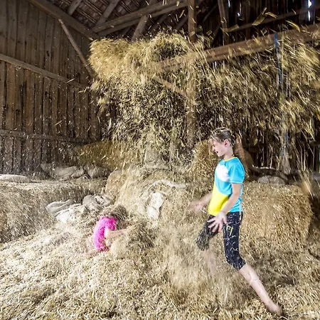 Διαμέρισμα Muellner-hof