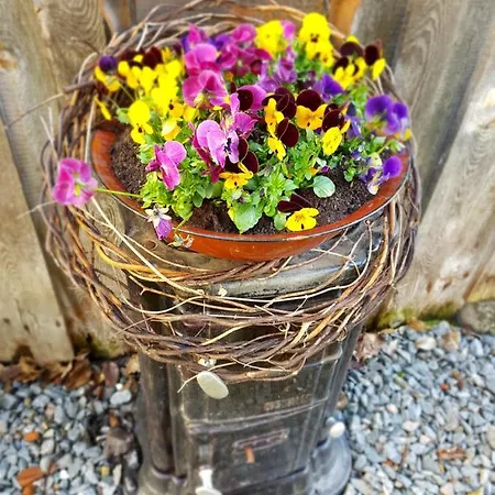 Muellner-hof Schwarzach bei Nabburg